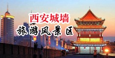 亚欧黄片大全中国陕西-西安城墙旅游风景区